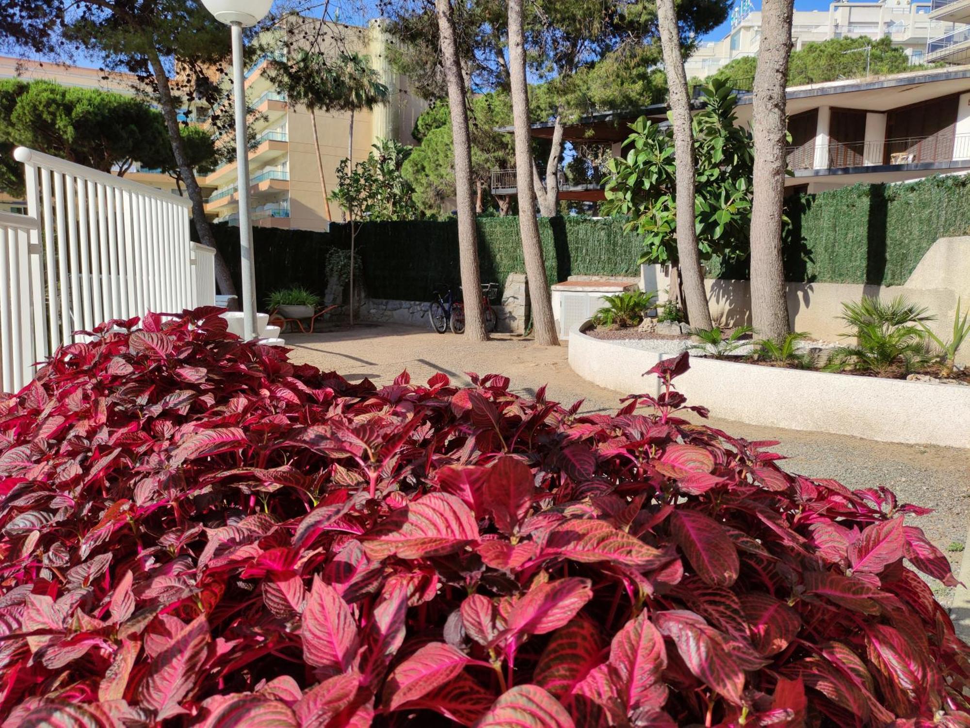 Paradis Salou, Centro Turistico, Wifi, Piscina, Vistas Al Mar Esterno foto